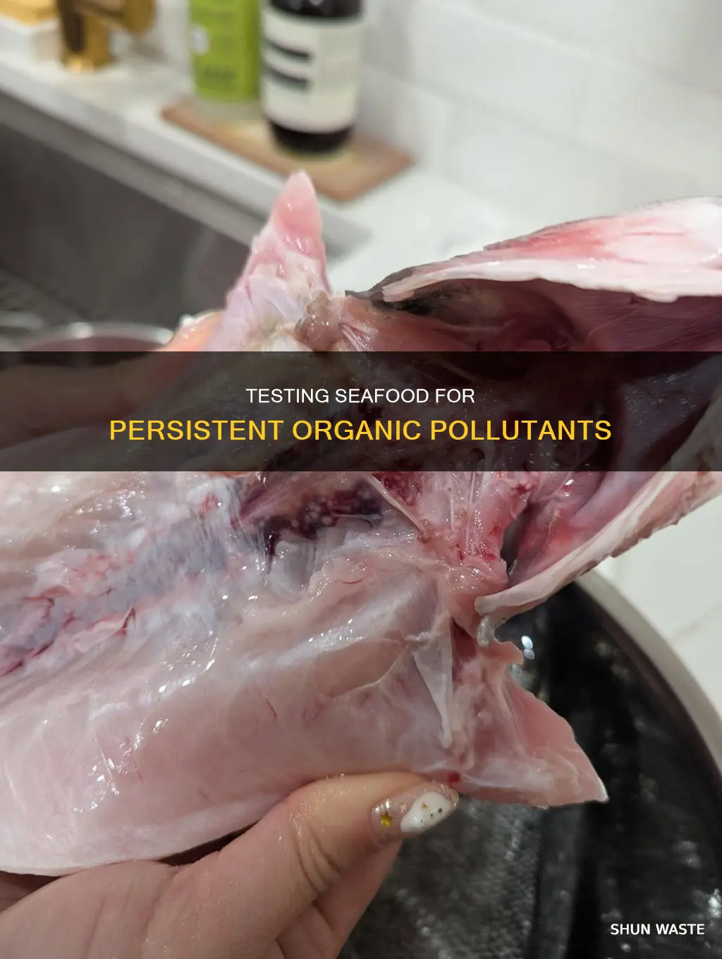 how to find out what seafood contains persistent organic pollutants