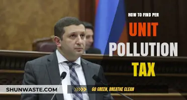 Calculating Pollution Tax: A Per Unit Perspective