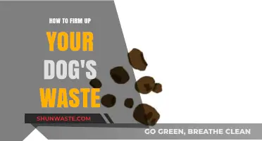 Effective Tips to Firm Up Your Dog's Loose Stools Naturally
