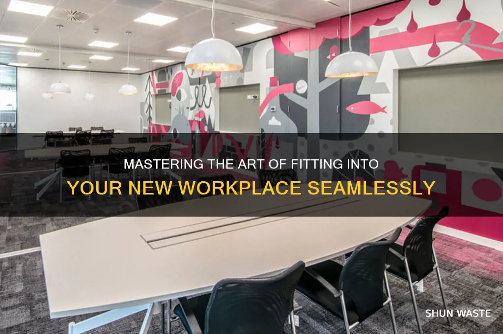 how to fit in a new work environment