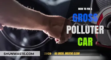 Fixing Gross Polluters: Tips to Get Your Car Clean