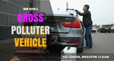 Repairing Gross Polluters: Getting Your Vehicle Back on Track
