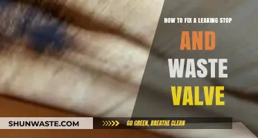Quick Guide to Repairing a Leaking Stop and Waste Valve