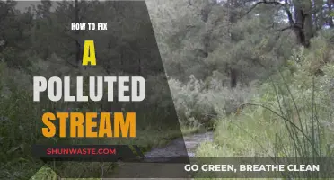 Stream Revival: Restoring Nature's Balance