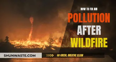 Wildfire Aftermath: Strategies to Combat Air Pollution