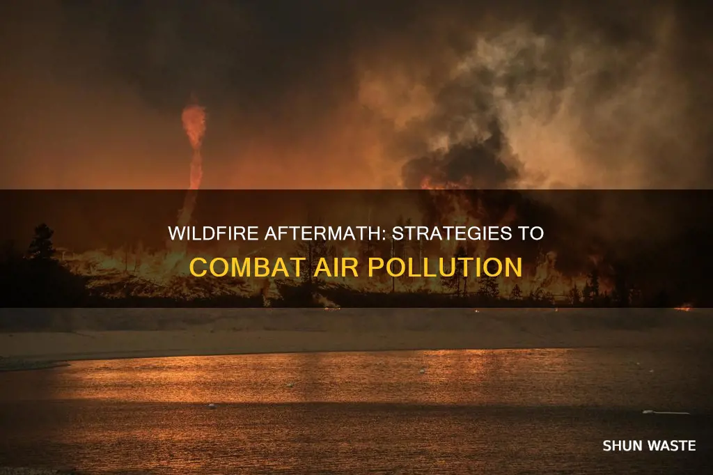 how to fix air pollution after wildfire