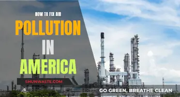 Air Pollution: America's Solutions for Cleaner Air