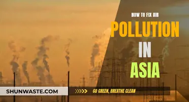 Cleaning Asia's Air: Strategies to Breathe Easy