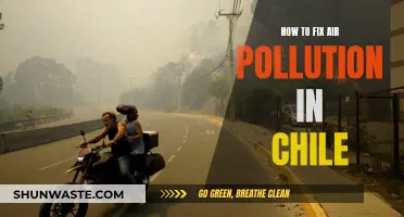 Chile's Air Pollution: Strategies for Clean Air