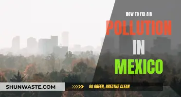 Mexico's Air Pollution: Strategies for Clean Air