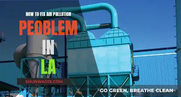 LA's Air Pollution: Strategies for Change