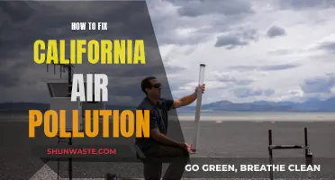 California's Air: Strategies for Pollution Reduction