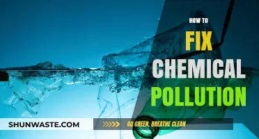 Eradicating Chemical Pollution: Strategies for a Sustainable Future
