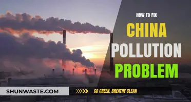 China's Pollution Crisis: Solutions for a Greener Future