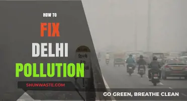 Delhi Pollution: Strategies for Clean Air