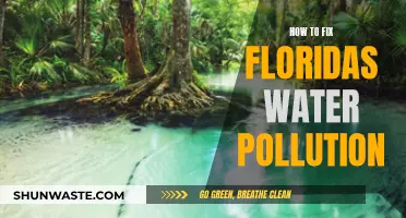 Restoring Florida's Waters: Effective Solutions to Combat Pollution