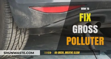 Repairing Gross Polluters: A Guide to Fixing High-Emission Vehicles