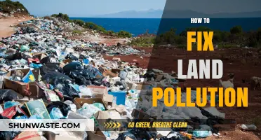 Strategies to Combat Land Pollution