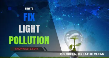 Eradicating Light Pollution: Strategies for a Brighter Tomorrow