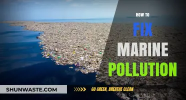 Eradicating Marine Pollution: Strategies for a Cleaner Ocean