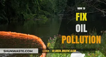 Eradicating Oil Pollution: Strategies for a Sustainable Future