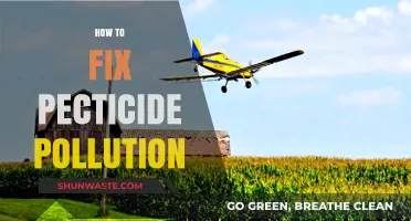 Pesticide Pollution: Solutions for a Sustainable Future