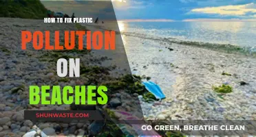 Combating Plastic Pollution: Strategies for Beach Cleanups