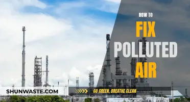 Purifying Our Air: Solutions to Pollution
