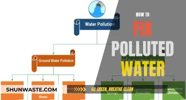 Restoring Water Quality: Effective Solutions for Pollution