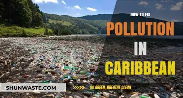 Reducing Caribbean Pollution: Strategies for a Brighter Future