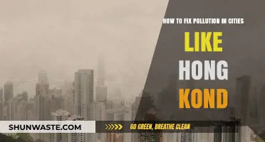 Green Solutions to Clean Hong Kong's Air