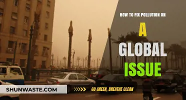 Global Pollution: Strategies for a Cleaner Tomorrow