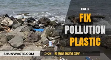 Eradicating Plastic Pollution: A Comprehensive Guide