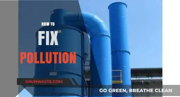 Solutions to Pollution: Strategies for a Cleaner World