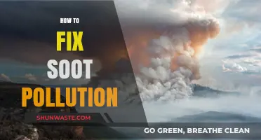 Eradicating Soot Pollution: Strategies for a Cleaner Tomorrow