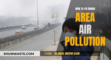 Strategies to Combat Air Pollution in Urban Settings