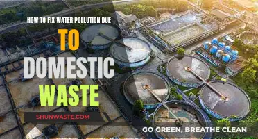 Clean Water, Healthy Home: Domestic Waste Solutions for Pollution Prevention