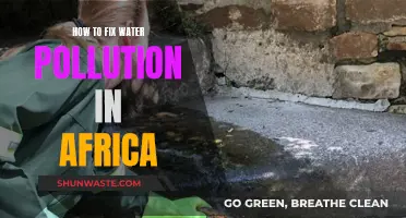 Reviving Africa's Rivers: Strategies to Combat Water Pollution