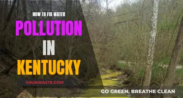 Clean Water, Healthy Kentucky: Strategies to Combat Pollution