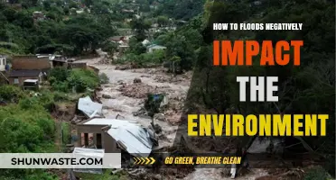 Floods' Devastating Environmental Impact: Ecosystem Disruption and Long-Term Consequences