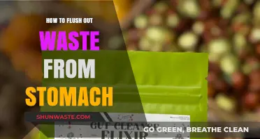 Effective Ways to Cleanse Your Stomach and Eliminate Waste Naturally
