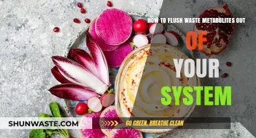 Effective Ways to Detoxify and Eliminate Waste Metabolites Naturally