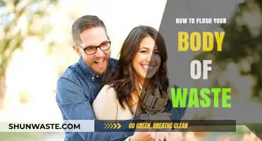 Effective Ways to Detoxify and Eliminate Waste from Your Body