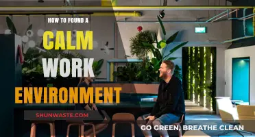 Creating a Serene Workspace: Tips for a Calm and Productive Environment