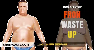 Build Upper Body Mass: Effective Strategies to Gain Weight from Waste Up