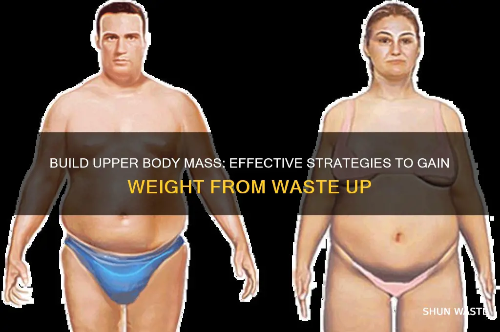 how to gain weight fron waste up