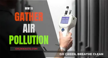 Monitoring Air Pollution: Strategies for Data Collection