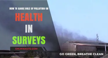 Pollution's Health Impact: Survey Strategies