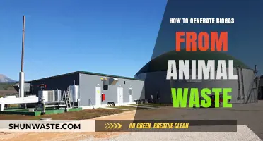 Transform Animal Waste into Biogas: A Sustainable Energy Guide