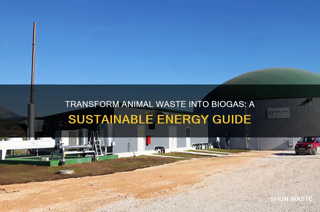 how to generate biogas from animal waste